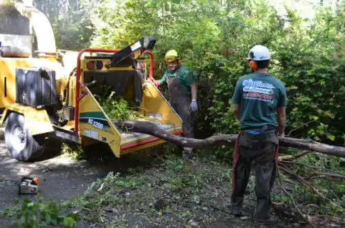 tree services Atwater